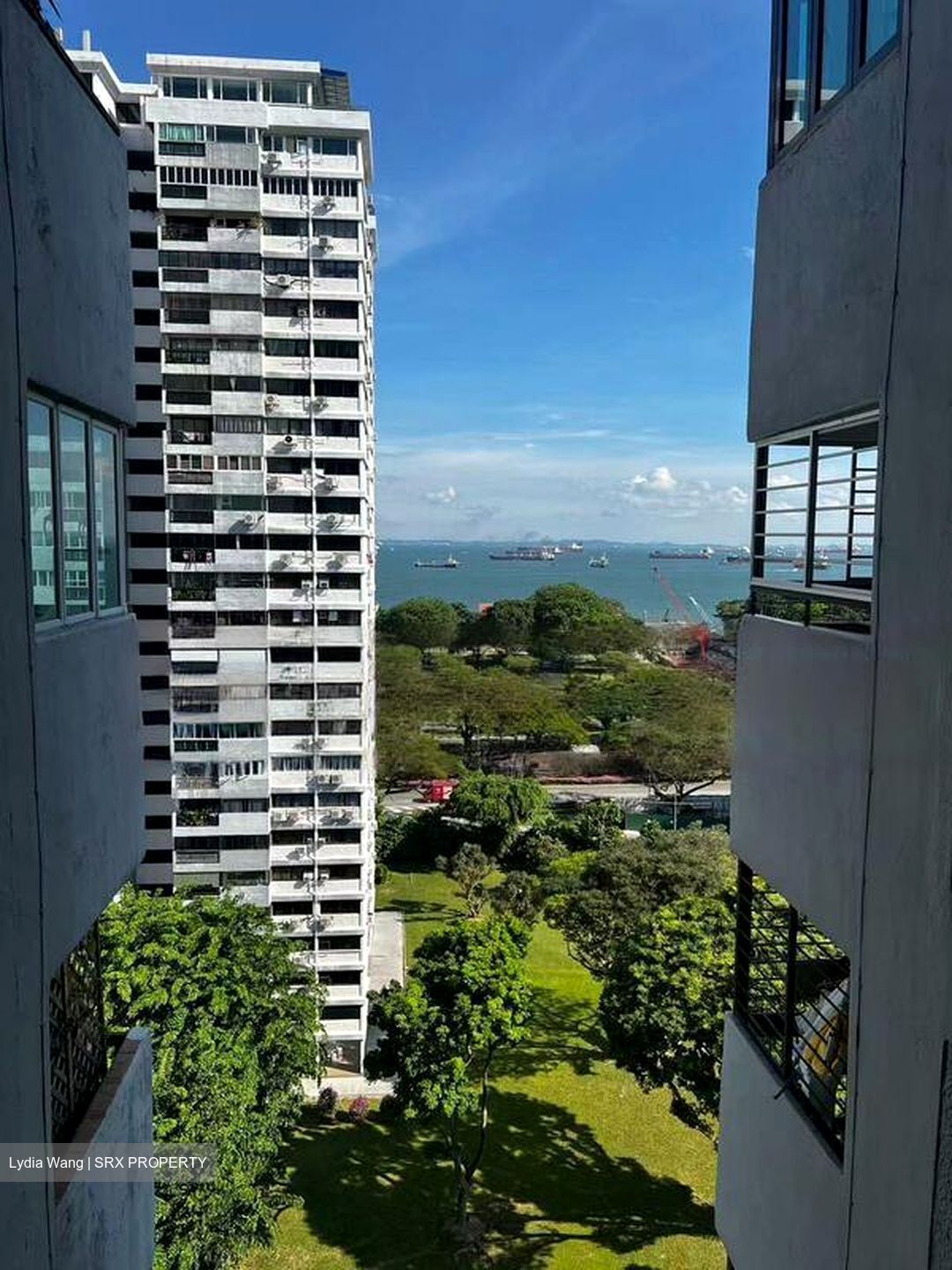 Laguna Park (D15), Apartment #486151741